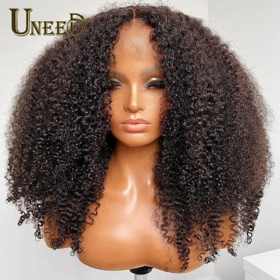 Kinky Curly Wig Human Hair
